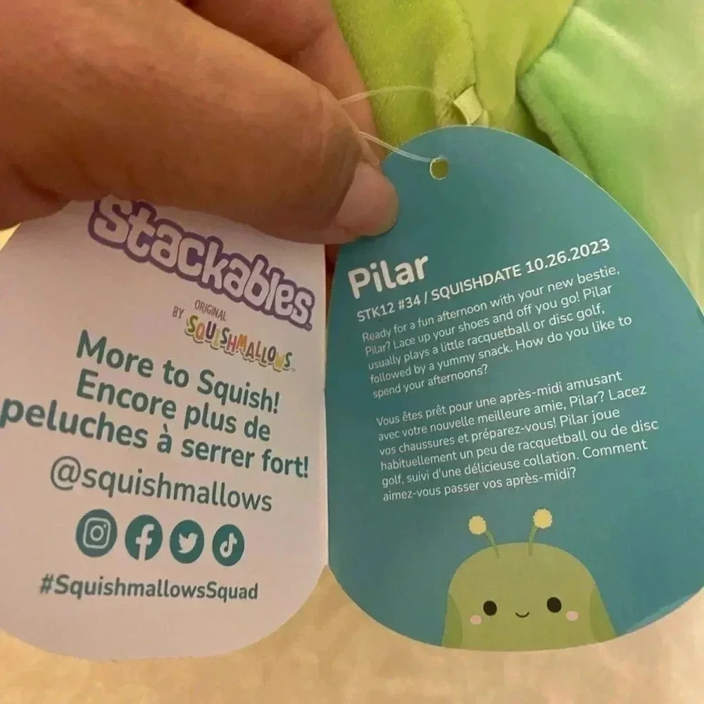 Squishmallows questions leave